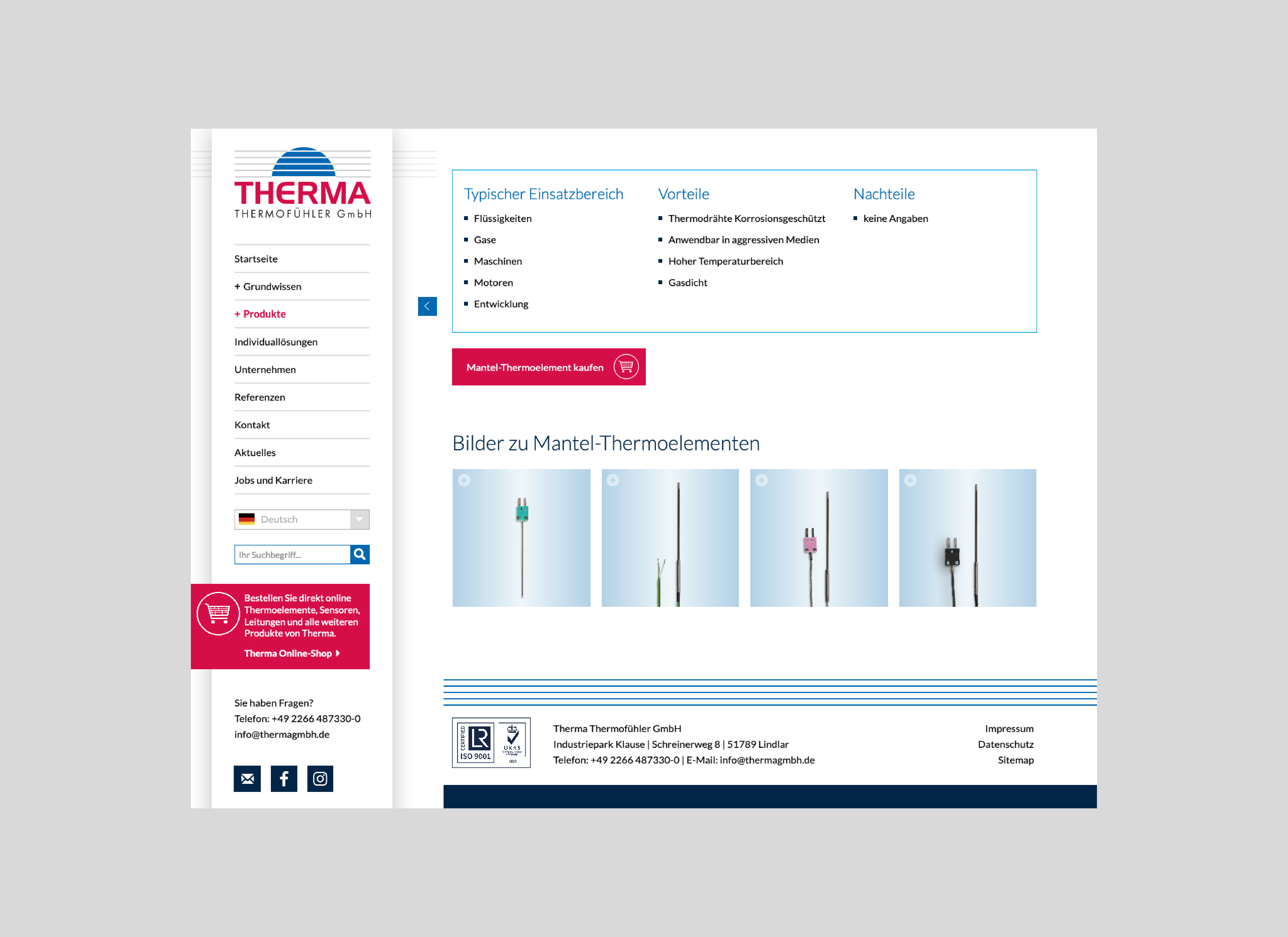 Internetseite Thema Thermofühler GmbH