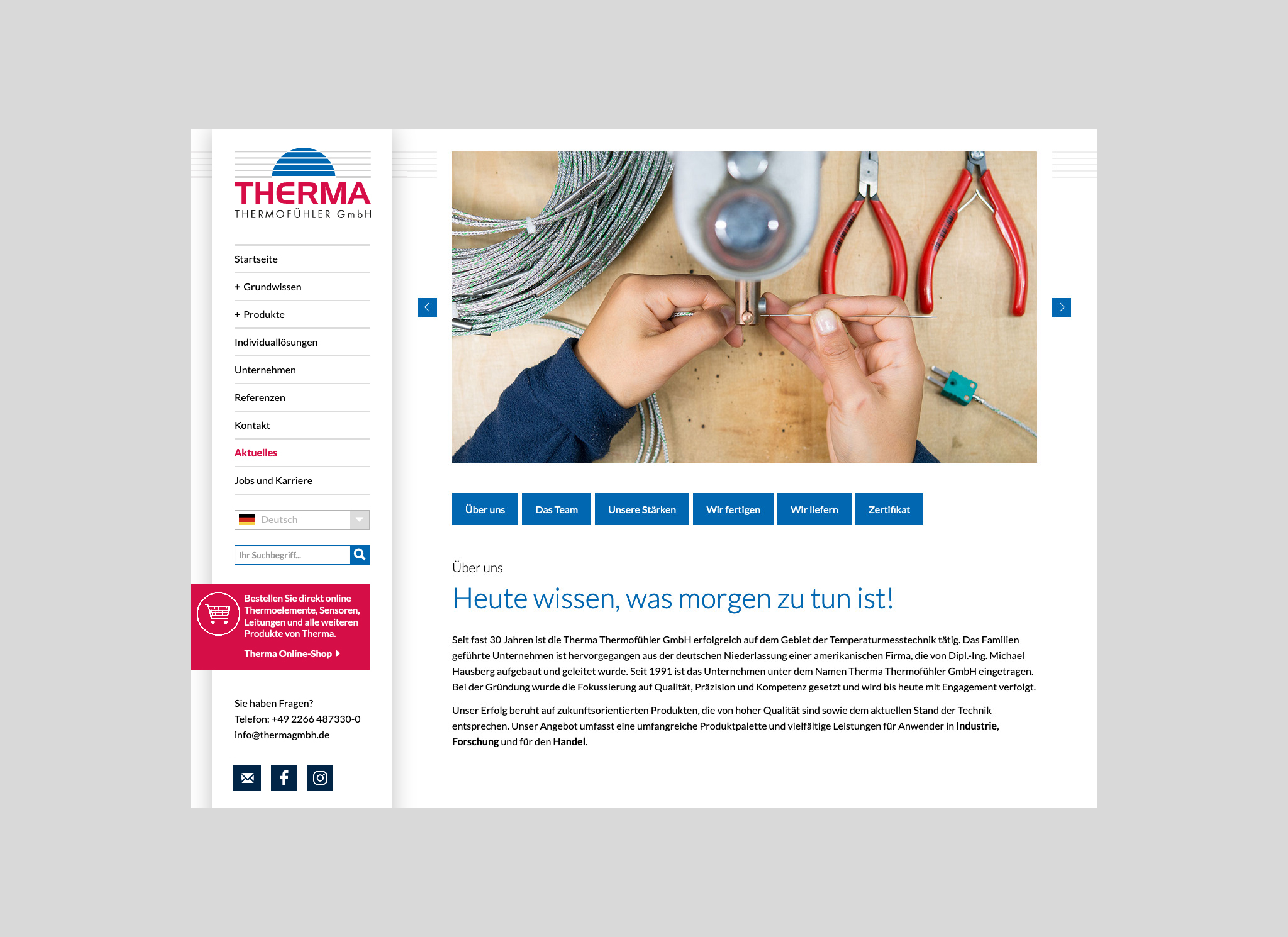 Internetseite Thema Thermofühler GmbH