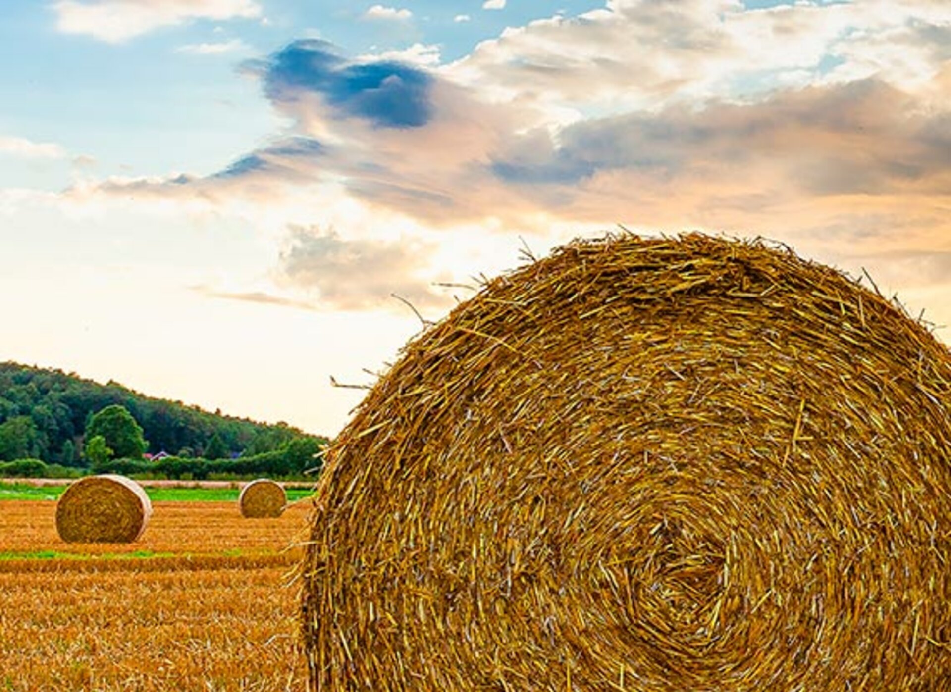 Ein gerollter und gepresster Strohballen auf einem geerteten Feld