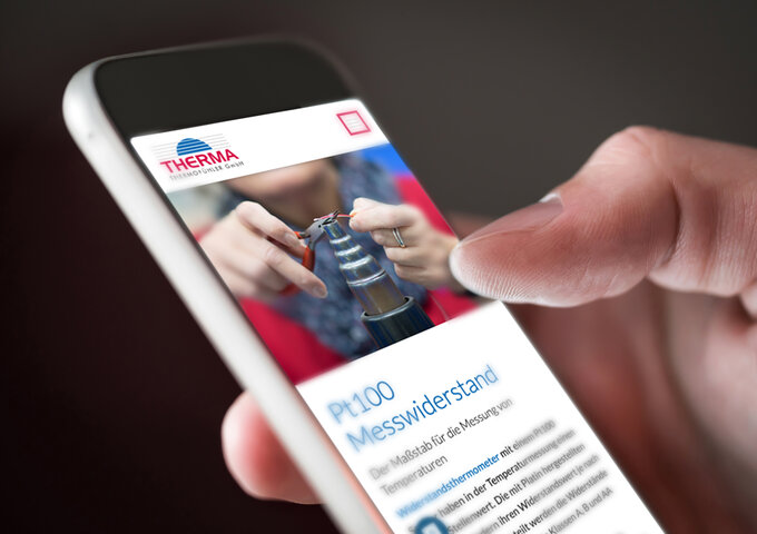 Internetseite und Onlineshop Thema Thermofühler GmbH